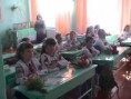 /album/fotogalereya/pic-3961-jpg/